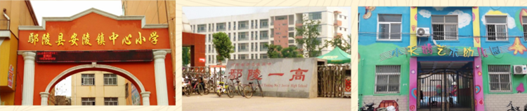 å¾ç5_å¯æ¬.png