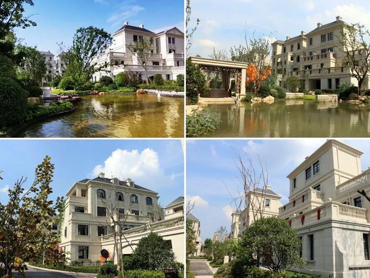 å¾®ä¿¡å¾ç_20190722152320_å¯æ¬.jpg